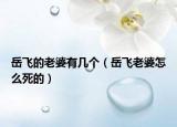 岳飛的老婆有幾個(gè)（岳飛老婆怎么死的）