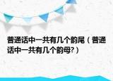 普通話中一共有幾個(gè)韻尾（普通話中一共有幾個(gè)韻母?）