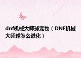 dnf機(jī)械大師球?qū)櫸铮―NF機(jī)械大師球怎么進(jìn)化）