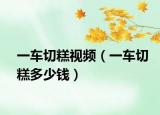一車切糕視頻（一車切糕多少錢）