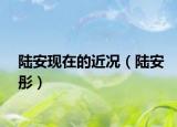 陸安現(xiàn)在的近況（陸安彤）