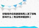 好像周杰倫和謝霆鋒兩人演了部電影叫什么（有沒(méi)有詳細(xì)資料）