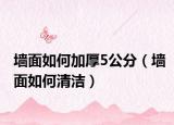墻面如何加厚5公分（墻面如何清潔）