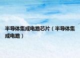 半導(dǎo)體集成電路芯片（半導(dǎo)體集成電路）