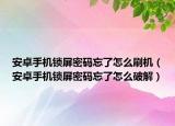 安卓手機鎖屏密碼忘了怎么刷機（安卓手機鎖屏密碼忘了怎么破解）
