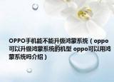 OPPO手機能不能升級鴻蒙系統(tǒng)（oppo可以升級鴻蒙系統(tǒng)的機型 oppo可以用鴻蒙系統(tǒng)嗎介紹）