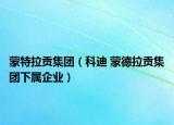 蒙特拉貢集團（科迪 蒙德拉貢集團下屬企業(yè)）