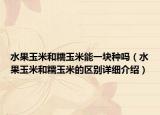水果玉米和糯玉米能一塊種嗎（水果玉米和糯玉米的區(qū)別詳細(xì)介紹）