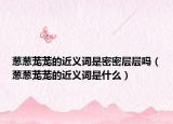 蔥蔥蘢蘢的近義詞是密密層層嗎（蔥蔥蘢蘢的近義詞是什么）