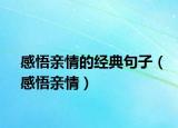 感悟親情的經(jīng)典句子（感悟親情）