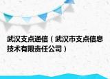武漢支點通信（武漢市支點信息技術(shù)有限責任公司）
