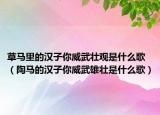 草馬里的漢子你威武壯觀是什么歌（陶馬的漢子你威武雄壯是什么歌）