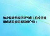 怕冷是腎陰虛還是氣虛（怕冷是腎陰虛還是腎陽(yáng)虛詳細(xì)介紹）