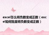 excel怎么將負數(shù)變成正數(shù)（excel如何批量將負數(shù)變成正數(shù)）