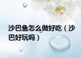 沙巴魚(yú)怎么做好吃（沙巴好玩嗎）