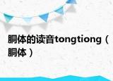 胴體的讀音tongtiong（胴體）