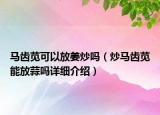 馬齒莧可以放姜炒嗎（炒馬齒莧能放蒜嗎詳細介紹）