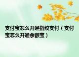 支付寶怎么開通指紋支付（支付寶怎么開通余額寶）