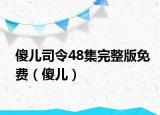 傻兒司令48集完整版免費(fèi)（傻兒）