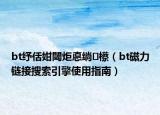 bt紓佸姏閾炬悳绱㈠櫒（bt磁力鏈接搜索引擎使用指南）
