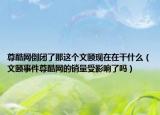 尊酷網(wǎng)倒閉了那這個(gè)文頤現(xiàn)在在干什么（文頤事件尊酷網(wǎng)的銷量受影響了嗎）