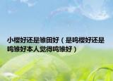 小櫻好還是雛田好（是鳴櫻好還是鳴雛好本人覺得鳴雛好）