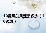 10級(jí)風(fēng)的風(fēng)速是多少（10級(jí)風(fēng)）
