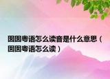 囡囡粵語怎么讀音是什么意思（囡囡粵語怎么讀）