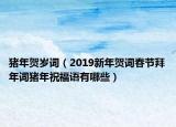 豬年賀歲詞（2019新年賀詞春節(jié)拜年詞豬年祝福語有哪些）