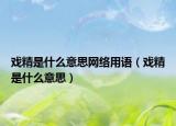 戲精是什么意思網(wǎng)絡用語（戲精是什么意思）