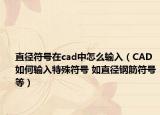 直徑符號(hào)在cad中怎么輸入（CAD如何輸入特殊符號(hào) 如直徑鋼筋符號(hào)等）