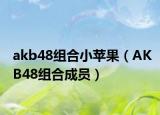 akb48組合小蘋果（AKB48組合成員）
