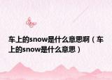 車上的snow是什么意思?。ㄜ嚿系膕now是什么意思）