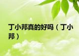 丁小邦真的好嗎（丁小邦）