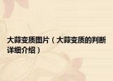 大蒜變質(zhì)圖片（大蒜變質(zhì)的判斷詳細介紹）