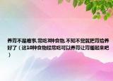 養(yǎng)胃不是難事,常吃3種食物,不知不覺就把胃給養(yǎng)好了（這10種食物經(jīng)常吃可以養(yǎng)胃讓胃暖起來吧）