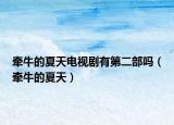 牽牛的夏天電視劇有第二部嗎（牽牛的夏天）