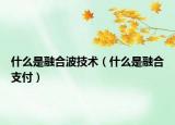 什么是融合波技術(shù)（什么是融合支付）