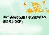dwg轉(zhuǎn)換怎么用（怎么把將DWG轉(zhuǎn)換為DXF）