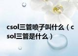 csol三管噴子叫什么（csol三管是什么）