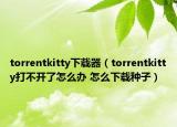 torrentkitty下載器（torrentkitty打不開了怎么辦 怎么下載種子）