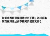如何查看網(wǎng)頁視頻地址并下載（怎樣獲取網(wǎng)頁視頻地址并下載網(wǎng)頁視頻文件）