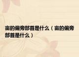 畝的偏旁部首是什么（畝的偏旁部首是什么）