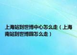 上海站到世博中心怎么走（上海南站到世博園怎么走）