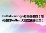 buffalo wcr-gn路由器設(shè)置（如何設(shè)置buffalo無線路由器設(shè)置）