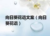 向日葵花語文案（向日葵花語）