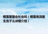 榴蓮里面會長蟲嗎（榴蓮有洞是生蟲子么詳細介紹）