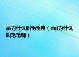 呆為什么叫毛毛鴨（dai為什么叫毛毛鴨）