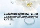 excel表格怎樣自動填充公式（excel怎么設(shè)置自動填充公式 如何設(shè)置自動填充公式介紹）