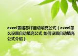 excel表格怎樣自動(dòng)填充公式（excel怎么設(shè)置自動(dòng)填充公式 如何設(shè)置自動(dòng)填充公式介紹）